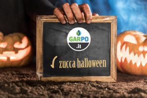Vendita zucche Halloween - San Lorenzo in Campo